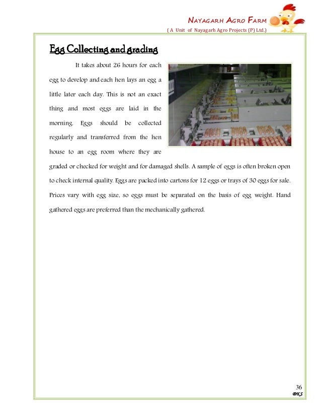 Farm house project report Farm house project report